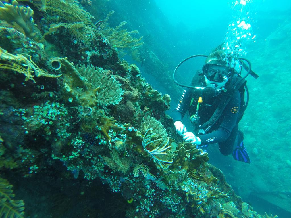 Ocean View Tulamben Dive & Resort Exterior photo