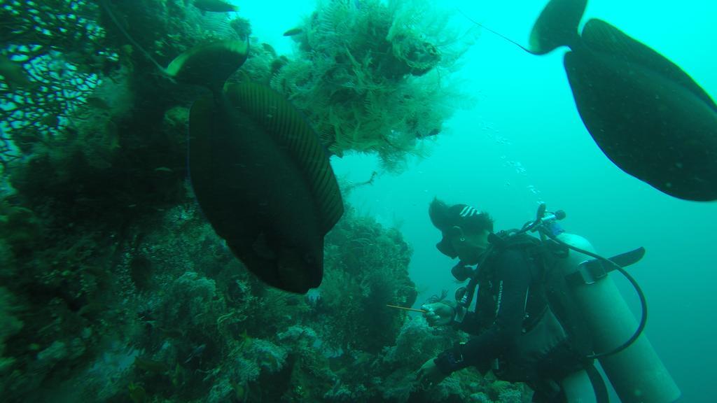 Ocean View Tulamben Dive & Resort Exterior photo